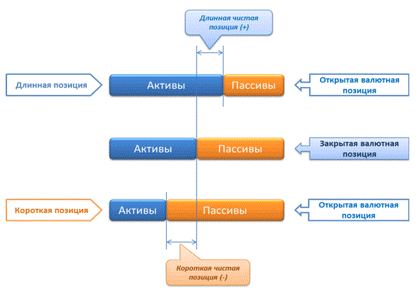 Длинная и короткая валютная позиция