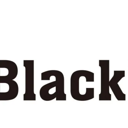 Обзор недостатков брокера BlackBull Markets