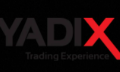Анализ предложения компании Yadix