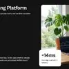 Financial Broker Nex Investment — An Honest Review